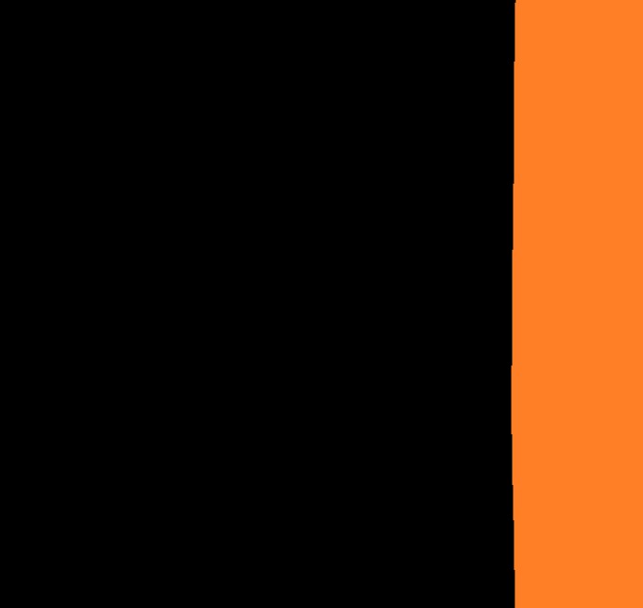 Černá-oranžový proužek